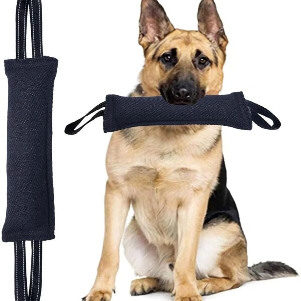 Take the hassle out of training your beloved furry friend to potty properly with our Pet Training Pads. They are designed to give your pets a visible and consistent spot where they can let out their wastes in a convenient manner. The pads feature five-layer protection that can absorb up to 400ml of liquid, and the leak-proof bottom layer prevents the floor from getting wet or stained. You don’t have to worry about the slipping pad as the adhesive tape keeps it secured in place. Not least, the pad is also treated for antibacterial protection and neutralises unpleasant odours that are inevitable from toilet training.  Features: Five-layer protection Up to 400ml absorbency Anti-bacterial protection Leak-proof bottom layer Neutralises odours Large coverage Adhesive tape Easy disposal  Specifications: Material: Non-woven fabric Overall dimensions: 60cm x 60cm Quantity per pack: 400 Colour: Pink   Package Content: 400 x Pet Training Pad