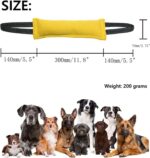 Take the hassle out of training your beloved furry friend to potty properly with our Pet Training Pads. They are designed to give your pets a visible and consistent spot where they can let out their wastes in a convenient manner. The pads feature five-layer protection that can absorb up to 400ml of liquid, and the leak-proof bottom layer prevents the floor from getting wet or stained. You don’t have to worry about the slipping pad as the adhesive tape keeps it secured in place. Not least, the pad is also treated for antibacterial protection and neutralises unpleasant odours that are inevitable from toilet training.  Features: Five-layer protection Up to 400ml absorbency Anti-bacterial protection Leak-proof bottom layer Neutralises odours Large coverage Adhesive tape Easy disposal  Specifications: Material: Non-woven fabric Overall dimensions: 60cm x 60cm Quantity per pack: 400 Colour: Pink   Package Content: 400 x Pet Training Pad - Image 2